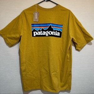 Patagonia Short Sleeve Tee (L)